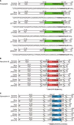 Role of KNDy Neurons Expressing Kisspeptin, Neurokinin B, and Dynorphin A as a GnRH Pulse Generator Controlling Mammalian Reproduction